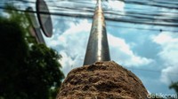 Tiang dengan tinggi kurang-lebih 9-11 meter tersebut tampak miring ke arah trotoar.  
