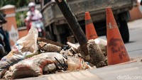 Terlihat di sekitar tiang terdapat beberapa karung berisi tanah dan kerucut oranye. Tiang tersebut tampak dikeluarkan 