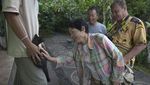 Termahal Sedunia, Begini Lho Kopi Luwak Diolah