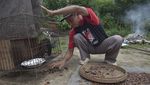 Termahal Sedunia, Begini Lho Kopi Luwak Diolah