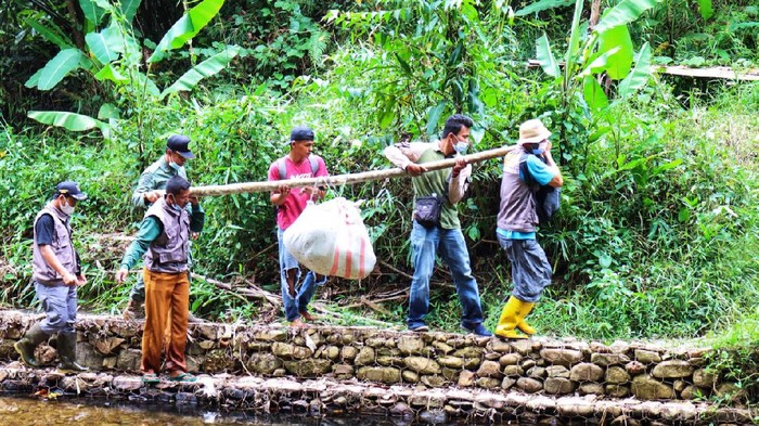Ular piton 9 meter yang gegerkan warga Riau