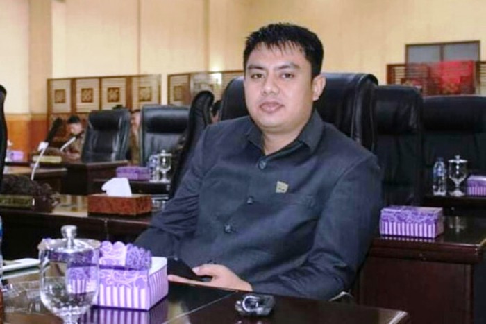 Anggota DPRD Kabupaten Solok Selatan F-PAN, Ade Vernanda, mundur dari jabatan anggota dewan karena ingin fokus mengurus ortu yang sakit (dok Istimewa)