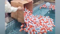 Pasangan Crazy Rich Malang ini turut mengundang para sahabat untuk memeriahkan acara. Kinder Joy itu bukan hanya untuk disantap, melainkan ditumpahkan untuk mengisi penuh kolam renang. Foto: Instagram @juragan_99, @shandypurnamasari @maharanikemala @sarwendah29