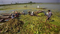 Gulma, lumpur, dan limbah menghalangi keindahan danau luas yang mendominasi kota. Puluhan ribu wisatawan hadir setiap tahunnya. (Mukhtar Khan/AP)