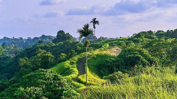 Desa Wisata Mas