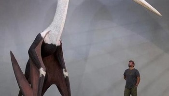 Hewan purba Quetzalcoatlus dalam ukuran sebenarnya. Foto: Reddit via Bored Panda