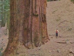 Deretan Foto Ini Bikin Merinding Bahkan Tutup Mata