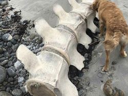 Deretan Foto Ini Bikin Merinding Bahkan Tutup Mata