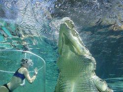 Deretan Foto Ini Bikin Merinding Bahkan Tutup Mata