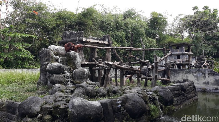 Gembira Loka  Zoo