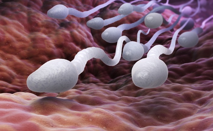 ilustrasi sperma A sample of donor sperm and a doctors prescription