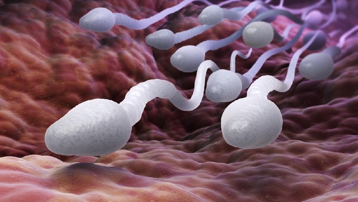 ilustrasi sperma A sample of donor sperm and a doctors prescription