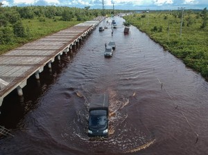 Pulang Pisau Kalteng 4 Pekan Banjir: 7.881 Warga di 26 Desa Terdampak