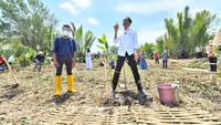 Kegiatan penanaman mangrove ini juga dilakukan Jokowi bersama dengan warga sekitar. (Foto: Agus Suparto)