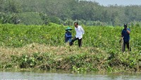 Salah satu warga mengatakan penanaman dilakukan di Rawa Payau. Hal ini dilakukan karena mangrove di sana kurang dan perlu kembali ditumbuh kembangkan. (Foto: Agus Suparto)