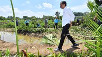 Di luar agenda yang telah direncanakan, Jokowi menyempatkan diri menaiki perahu. Jokowi lantas tampak menyeberangi sungai. (Foto: Agus Suparto)