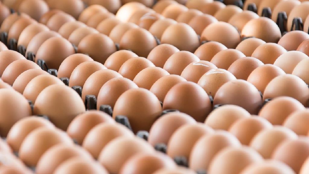 Apa Benar Makan Telur Bisa Sebabkan Kanker Rahim dan Prostat?