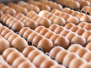 Apa Benar Makan Telur Bisa Sebabkan Kanker Rahim dan Prostat?