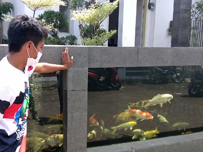 Pagar Rumah Warga di Malang Berbentuk Kolam Ikan Koi