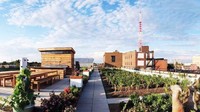 Petani urban. Sekarang juga sudah dimulai sih ini, orang-orang mulai menanam bahan makanan di rumah sendiri di tengah kota. Namun seiring habisnya lahan pertanian, maka akan banyak orang yang menjadikan urban farming sebagai nafkah sehari-hari. Foto: Dok. Wikipedia