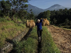 Pangan Mahal hingga Banjir Impor Mengintai Imbas Cuaca Panas Mendidih RI