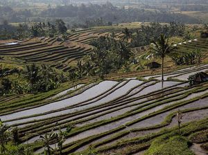 Pariwisata Bangkit, 3 Destinasi Domestik Ini Jadi Primadona