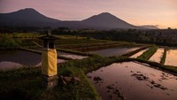 Merujuk laporan BPS, kata Wapres, total ekspor pertanian periode Januari-Juli 2021 mencapai 2,24 miliar Dolar Amerika Serikat atau meningkat 8,72 persen dibandingkan periode yang sama pada tahun sebelumnya.  