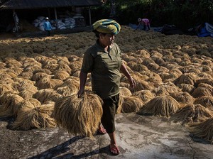 BPS: Pariwisata Bali Pulih, Lapangan Kerja Terbuka, Okupansi Hotel Naik