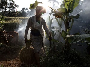 Sektor Ini Masih Menggeliat di Tengah Pandemi, Apa Itu?