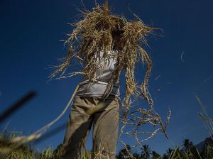 NFT Bisa Dipakai Buat Bantu Petani, Bagaimana Cara Kerjanya?