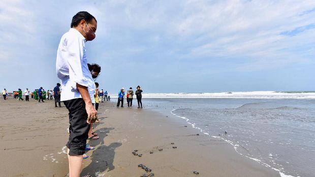 Presiden Jokowi Melakukan Pelepasan Tukik di Pantai Kemiren, Desa Griya Tegalsari, Kelurahan Tegal Kamulyan, Kecamatan Cilacap Selatan, Kabupaten Cilacap, Provinsi Jawa Tengah. (Biro Pers Media Setpres/Agus Suparto)
