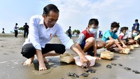 Presiden Joko Widodo melepas tukik di Pantai Kemiren, Desa Griya Tegalsari, Kelurahan Tegal Kamulyan, Cilacap Selatan, Cilacap, Jawa Tengah (23/9/2021).