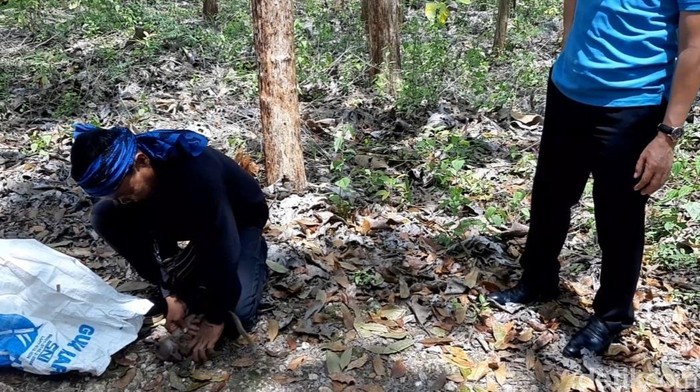 Salah seorang suku Baduy saat menangkap monyet di Gunungkidul