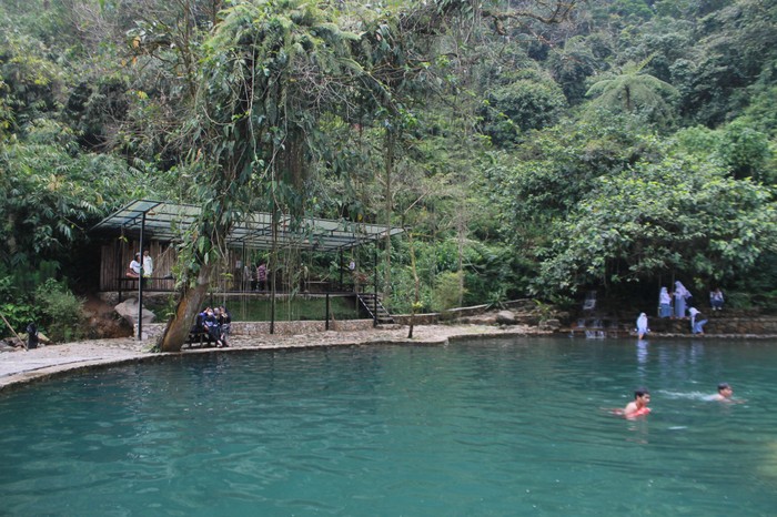Telaga Batu Taman Nasional Gunung Halimun Salak Bogor