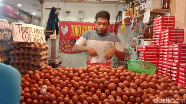 Telur Ayam