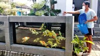 Pagar kolam koi sebenarnya telah dibuat Jeje 9 bulan yang lalu. Tapi baru belakangan ini ramai diperbincangkan, setelah viral di media sosial.