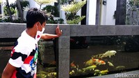 Pagar dengan konsep akuarium ini memiliki panjang 16 meter, dengan lebar 1,10 meter.