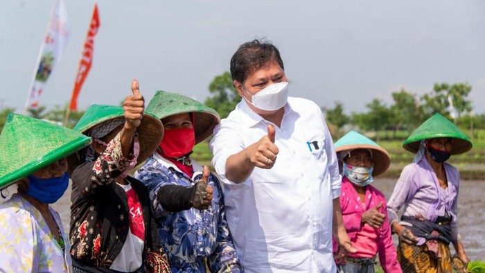Menteri Koordinator Bidang Perekonomian Airlangga Hartarto mendukung program smart farming milenial untuk meningkatkan produktivitas sektor pertanian. Hal ini dilakukan untuk menjaga ketahanan pangan rakyat.