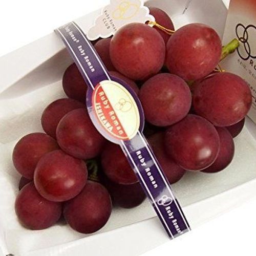 Angur Langka di Jepang 'Ruby Roman'. Terjual seharga Rp 167 juta