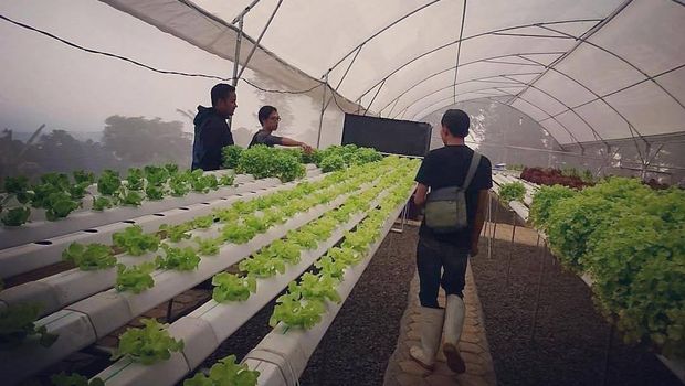 Garuda Farm Sentul (Tangkapan Layar Instagram @garudafarmsentul)