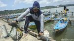 Menyapa Kampung Nelayan Cilacap yang Ditinjau Jokowi