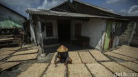 Ikan hasil tangkapan langsung dijual ke pelelangan ikan yang ada di tengah kampung. Selain itu kampung Sentolo Kawat juga memiliki lahan yang cukup luas untuk menjemur ikan atau udang hasil tangkapan nelayan.