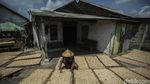 Menyapa Kampung Nelayan Cilacap yang Ditinjau Jokowi