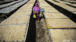 Menyapa Kampung Nelayan Cilacap yang Ditinjau Jokowi