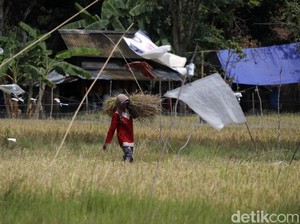 Investasi Daerah dan Potensi Konflik Agraria