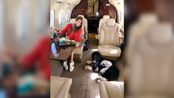 Perusahaan penerbangan global VistaJet telah melaporkan peningkatan 86% dalam jumlah hewan yang diterbangkan selama dua tahun terakhir. Penumpang ketiga ini bukan hanya kucing dan anjing, jumlah burung yang dibawa juga meningkat (Foto: CNN) Perusahaan penerbangan global VistaJet telah melaporkan peningkatan 86% dalam jumlah hewan yang diterbangkan selama dua tahun terakhir. Penumpang ketiga ini bukan hanya kucing dan anjing, jumlah burung yang dibawa juga meningkat (Foto: CNN)
