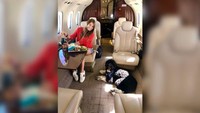 Perusahaan penerbangan global VistaJet telah melaporkan peningkatan 86% dalam jumlah hewan yang diterbangkan selama dua tahun terakhir. Penumpang ketiga ini bukan hanya kucing dan anjing, jumlah burung yang dibawa juga meningkat (Foto: CNN)