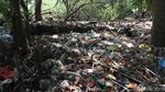 Menyusuri Hutan Penjaga Pantai Utara Jakarta