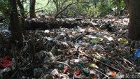 Berbagai upaya untuk terus melestarikannya tetap bergulir hingga sekarang. Di sisi lain, ancaman akan keberadaan kawasan ekosistem hutan pantai ini juga harus menjadi perhatian, terutama adanya perubahan alih fungsi lahan yang merubah fungsi kawasan ekosistem menjadi tempat hunian atau kawasan bisnis. Selain itu keberdaaan sampah yang sampai saat ini masih terlihat di sekitar kawasan hutan mangrove yang dapat menganggu proses keberlangsungan hidupnya.
