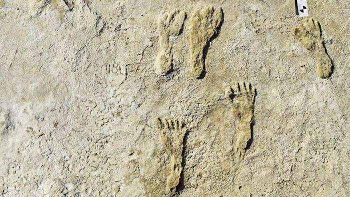 Jejak Kaki Tertua di Dunia